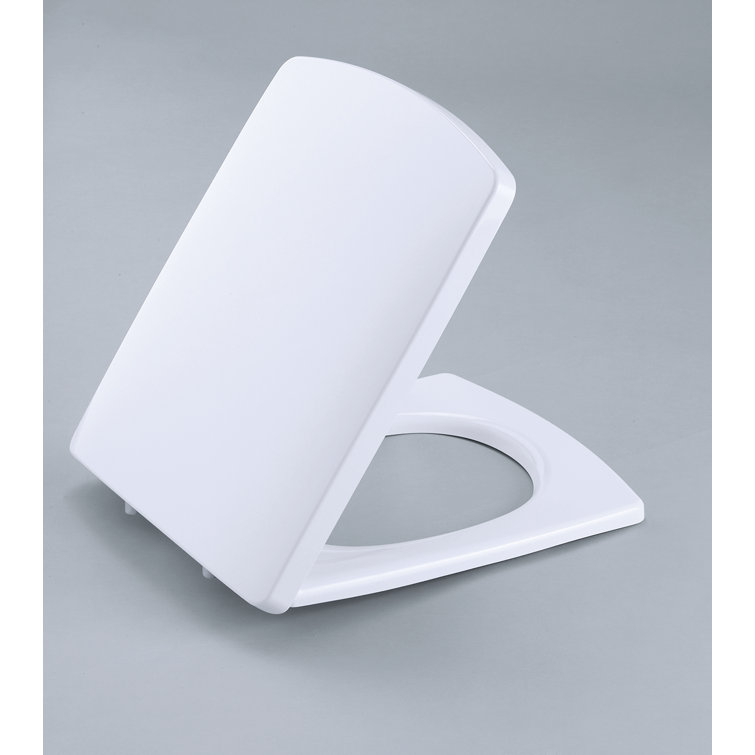 Kohler Escale Elongated Toilet Seat Wayfair